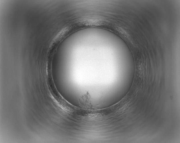 X0000053110686200507251657