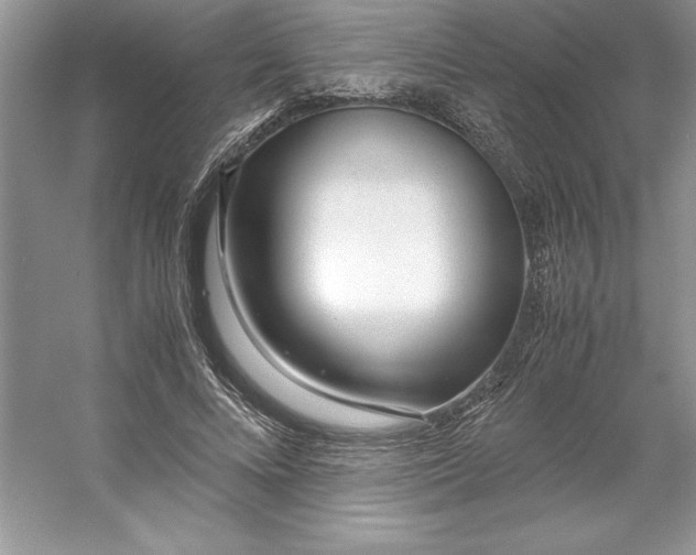 X0000053110688200507251657