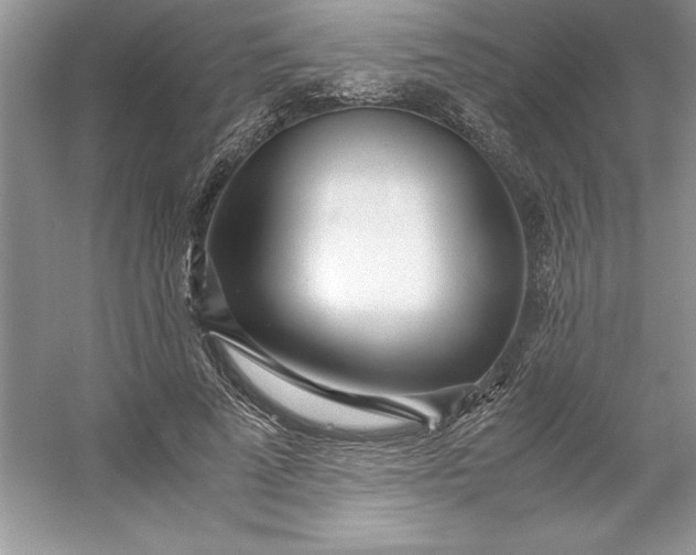 X0000053110689200507251657