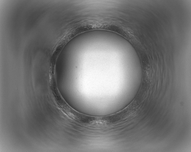 X0000053110691200507251657