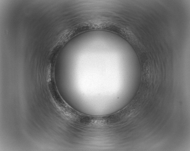 X0000053110694200507251657