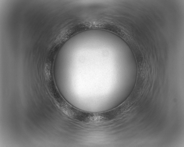 X0000053110695200507251657
