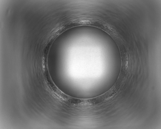 X0000053110696200507251657