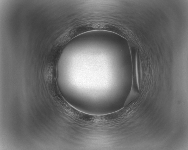 X0000053110697200507251657