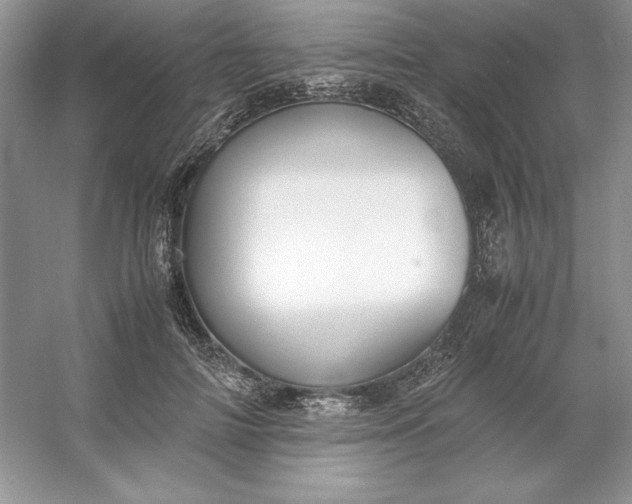 X0000053110698200507251657