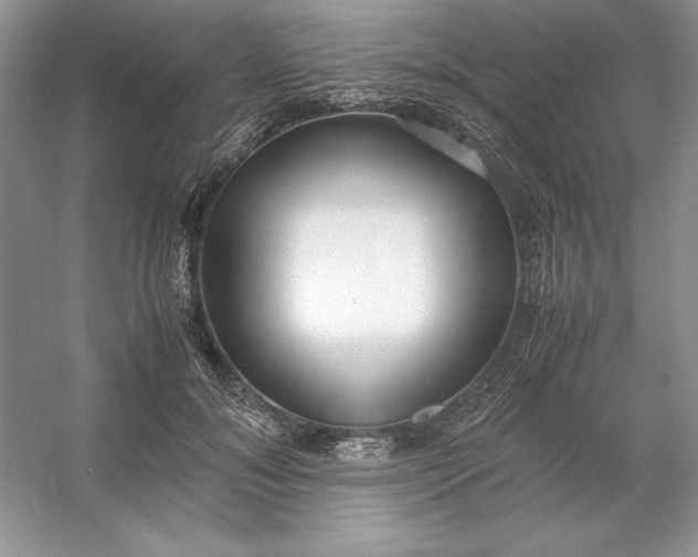 X0000053110700200507251657