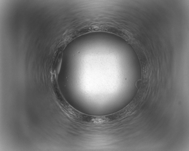 X0000053110703200507251657