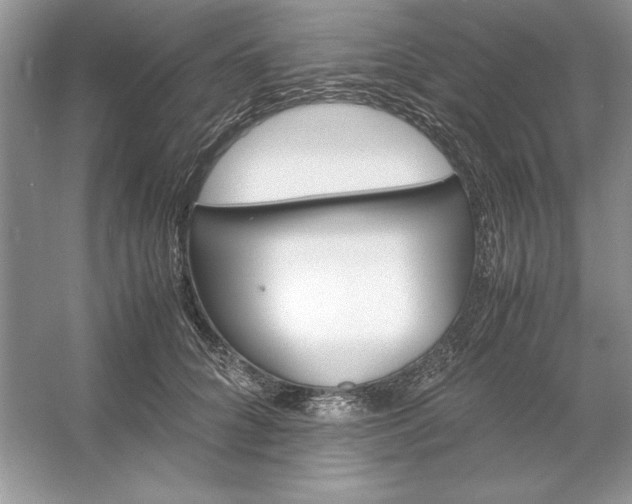 X0000053110704200507251657