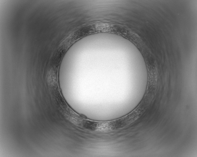 X0000053110705200507251657