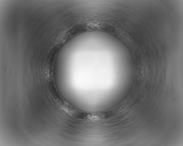 X0000053110706200507251657