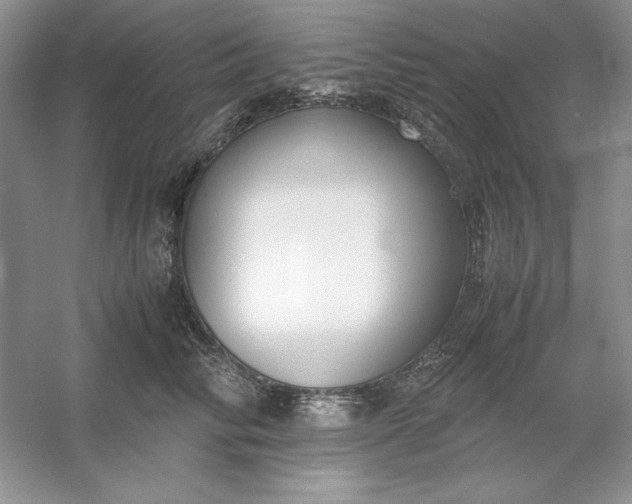 X0000053110710200507251657
