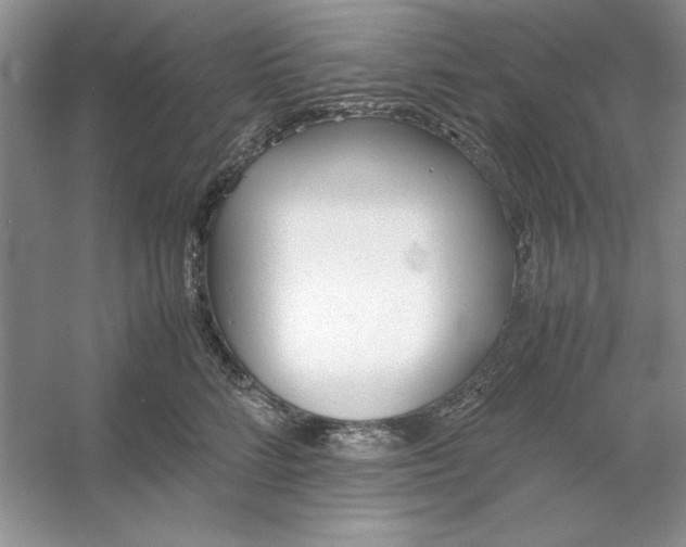 X0000053110712200507251657