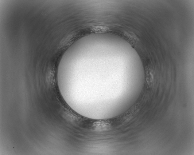 X0000053110714200507251657
