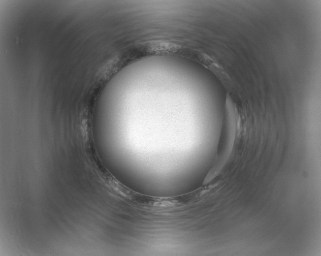 X0000053110716200507251657