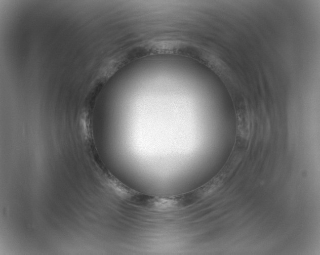 X0000053110718200507251657