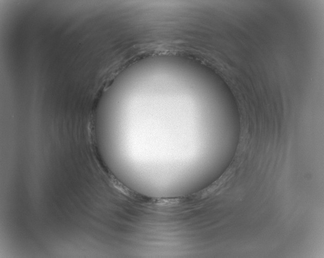 X0000053110720200507251657