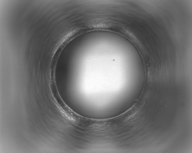 X0000053110725200507251656