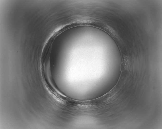 X0000053110726200507251656