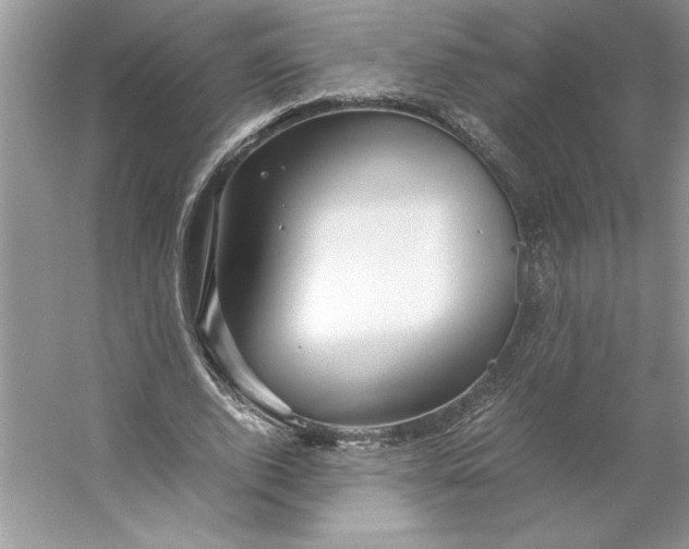 X0000053110728200507251656