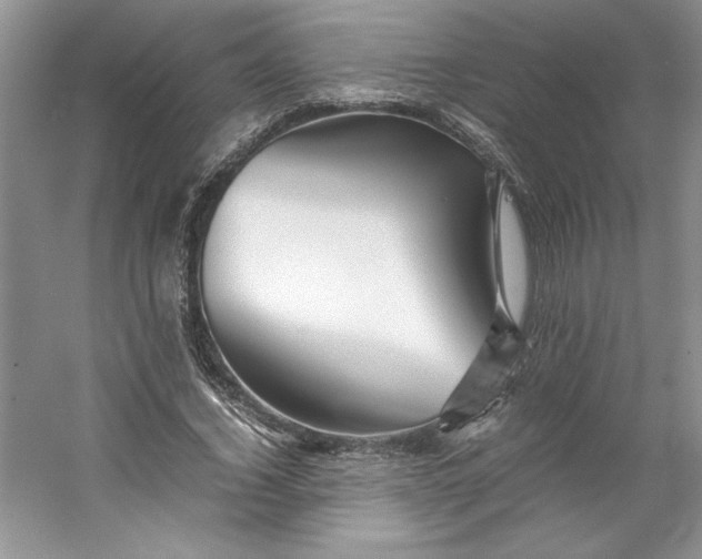 X0000053110732200507251656