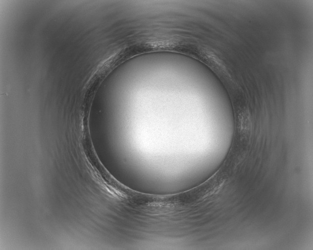 X0000053110733200507251656