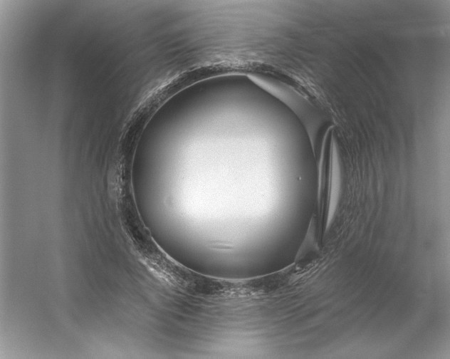 X0000053110736200507251656