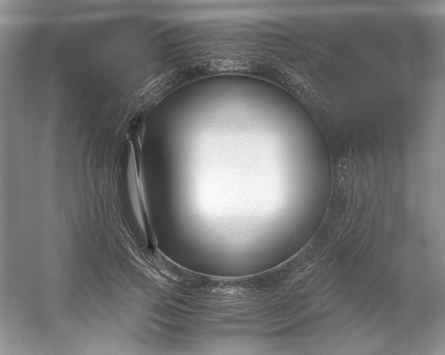 X0000053110741200507251656