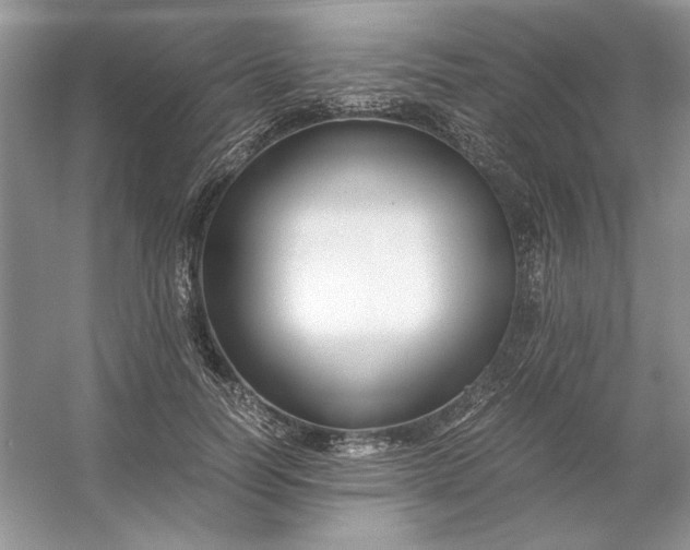 X0000053110746200507251656