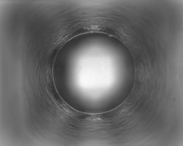 X0000053110747200507251656