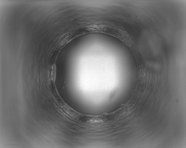 X0000053110749200507251656