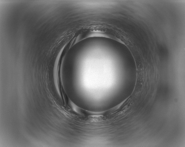 X0000053110750200507251656