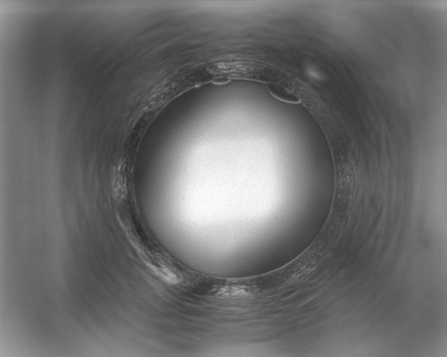 X0000053110751200507251656