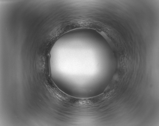 X0000053110752200507251656