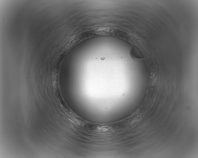 X0000053110753200507251656