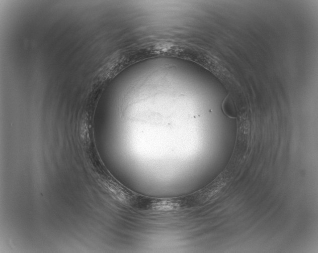 X0000053110754200507251656