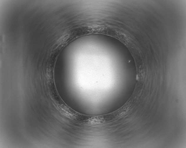 X0000053110756200507251657