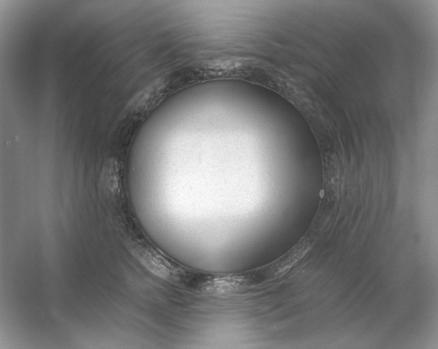 X0000053110758200507251657