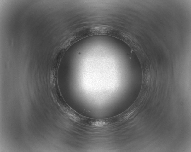 X0000053110759200507251657