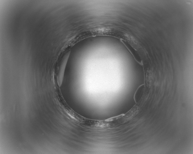 X0000053110760200507251657