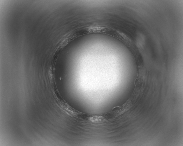 X0000053110761200507251657