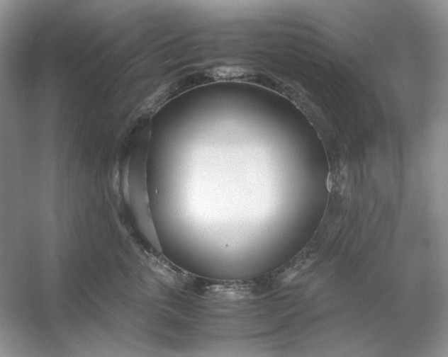 X0000053110763200507251657