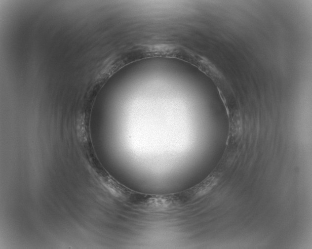 X0000053110764200507251657