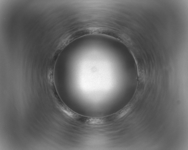 X0000053110766200507251657