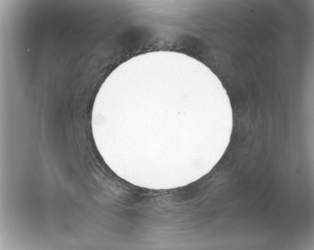 X0000053110769200507251656