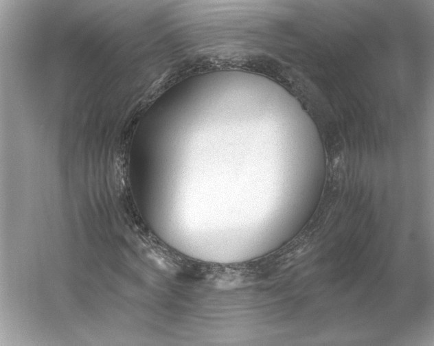 X0000053110772200507251656