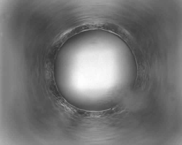 X0000053110773200507251656
