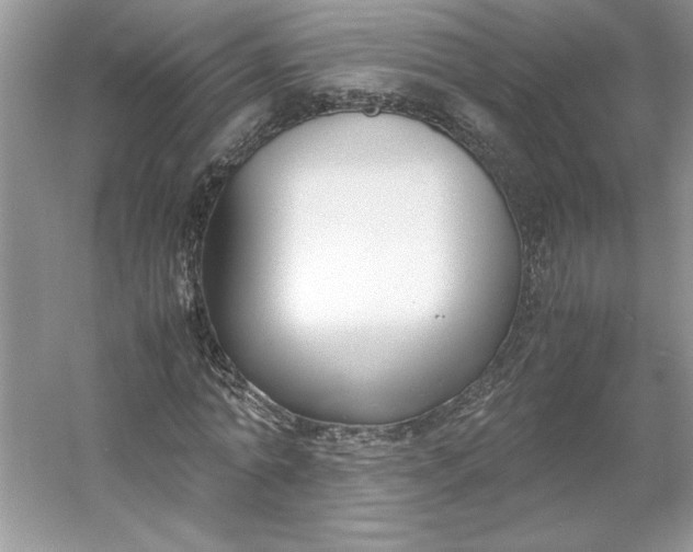 X0000053110774200507251656