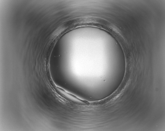 X0000053110777200507251656