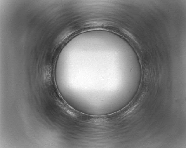 X0000053110778200507251656