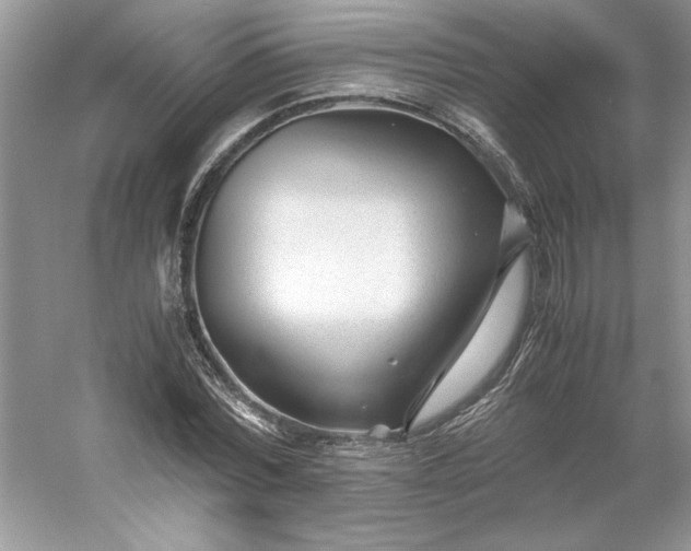 X0000053110780200507251656